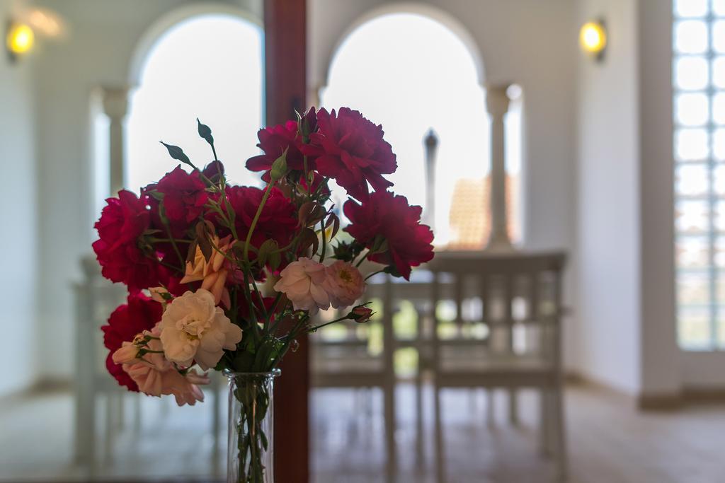 Villa Alma Veli Lošinj Eksteriør bilde